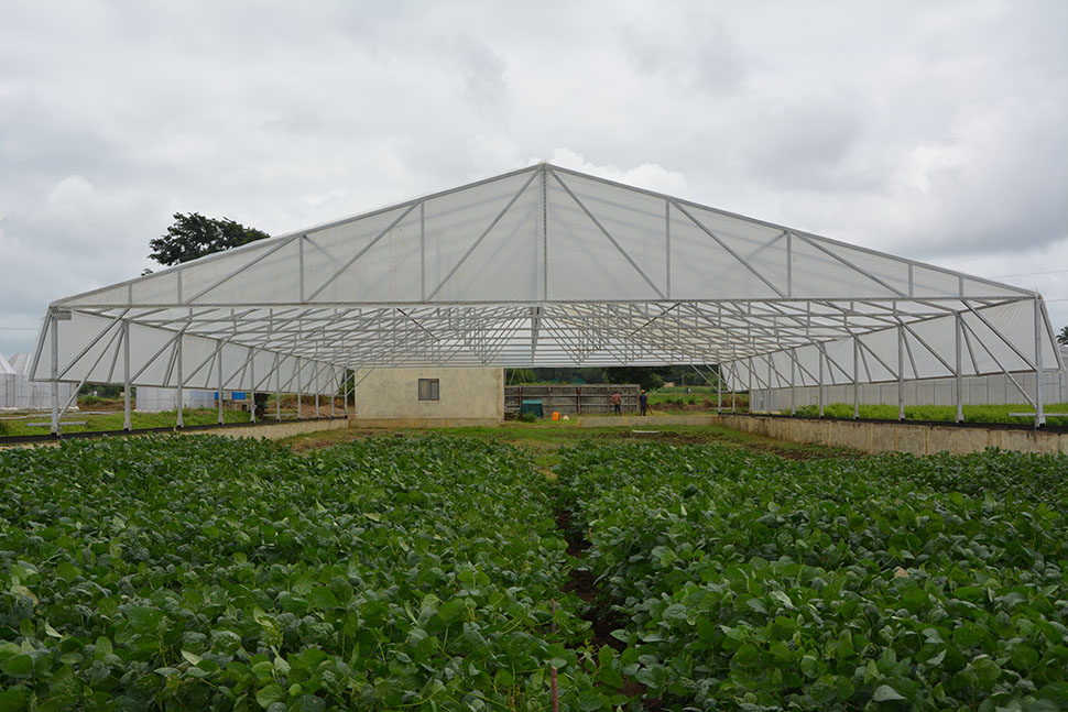 Portfolio Image
